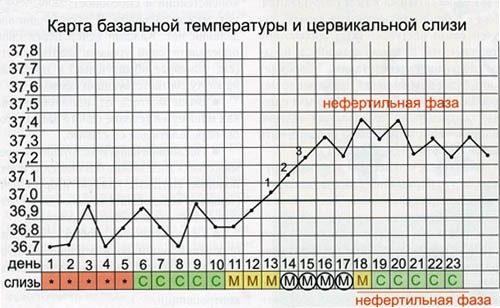 карта базальной температуры и цервикальной слизи