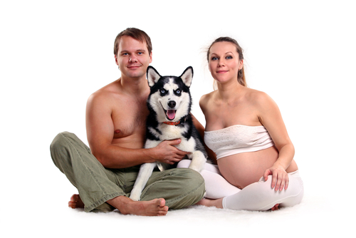 беременная и собака