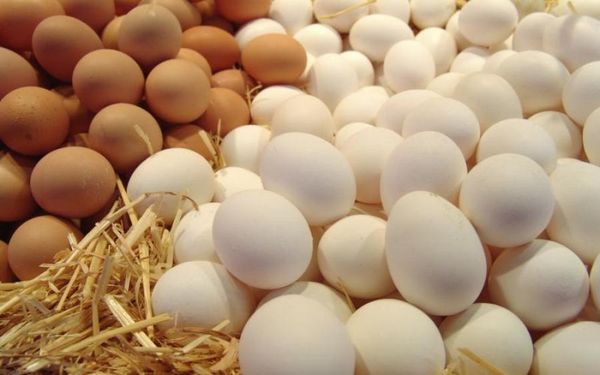 Яйця – користь для дитини! Скільки яєць на день можна їсти дитині? - Все для мам про дітей