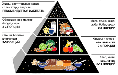 Харчова піраміда